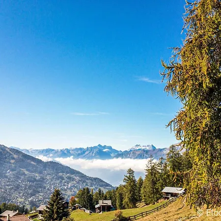 Ski-in Ski-out Prarion Slopes Daire *