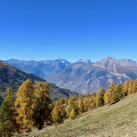 Ski-in Ski-out Prarion Slopes Apartman Nendaz