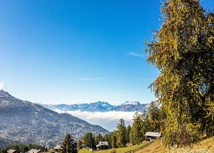 Ski-in Ski-out Prarion Slopes 아파트 *